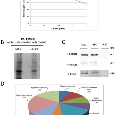 A Viability Of Ehistolytica Trophozoites Which Were Exposed To Download Scientific Diagram