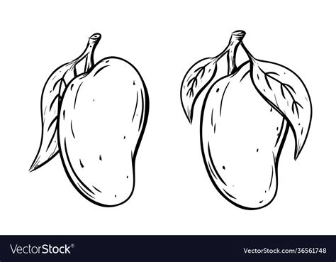 Fruits Drawing Outline