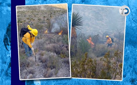 Coahuila Tiene Incendios Forestales Activos Telediario M Xico