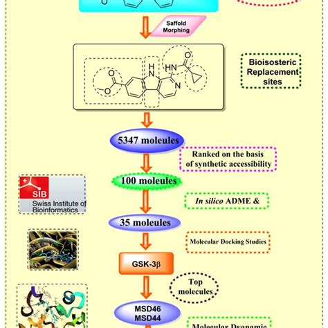 Generation Of The Potential Glycogen Synthase Kinase Gsk