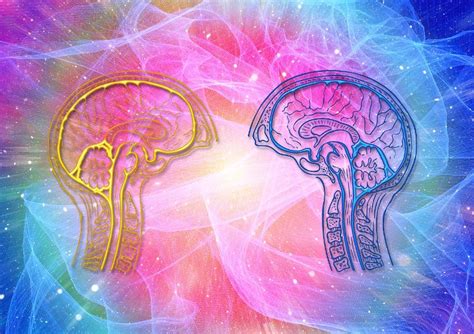 Massive Study Reveals Few Differences Between Men And Womens Brains