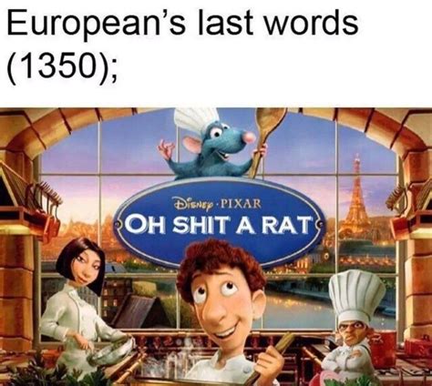 35 Funniest Ratatouille Memes To Cook Up A Smile – FandomSpot