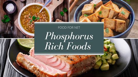 22 Phosphorus Rich Foods To Help You Balance Your Phosphorous Levels ...