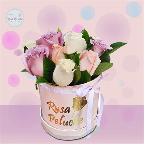 Box Nude Rosapeluche