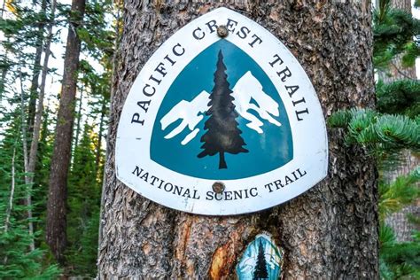 Pacific Crest Trail Survey Halfway Anywhere