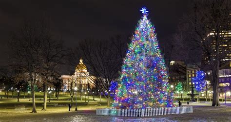 Boston Common Holiday Tree 2024 120524