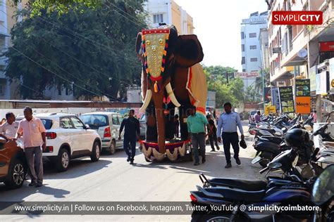 SimpliCityCoimbatore On Twitter Photostory Real Or Fake Elephant