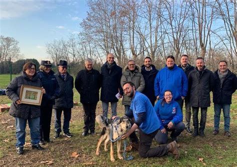 Sicurezza stradale e mobilità sostenibile a Busto Arsizio ecco il