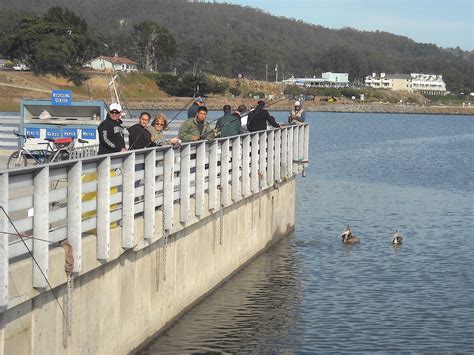 Johnson Pier — Pillar Point Harbor — Half Moon Bay - Pier Fishing in ...