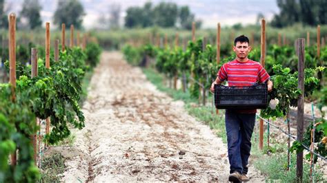 Introducir 88 Imagen Casas Vinicolas En El Valle De Guadalupe