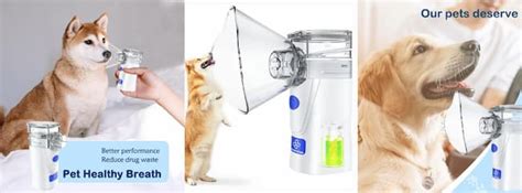 Nebulizador para PERROS 🐾 | ¡Bienestar para tu Mascota!