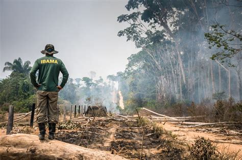 Governo Quer Os Militares Em A Es De Preserva O Da Amaz Nia At