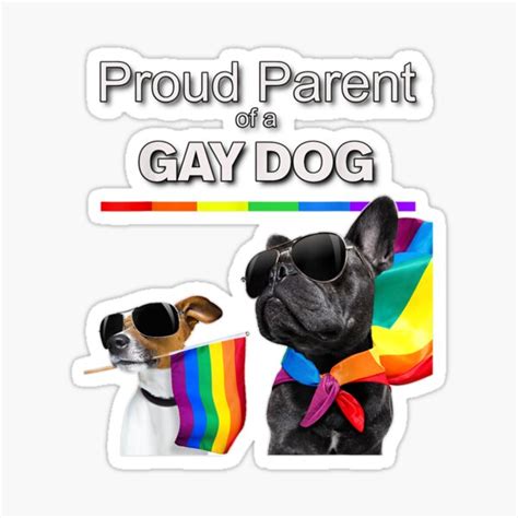 Pegatina Muestre Su Orgullo Como Padre De Un Perro Gay Lgbtq Png De Janetpalmer Redbubble