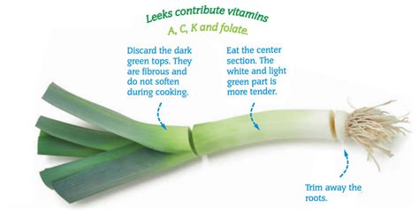 Leek Basics Feed Our Rural Kids