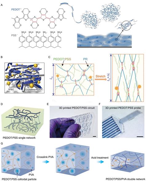 PEDOT PSS Based Intrinsically Soft And Stretchable Bioelectronics A