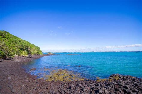 The BEST Beaches in Auckland: 14 Must-See Seaside Escapes