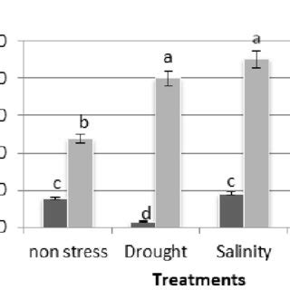 Stomatal Conductance Mmol M 2s In AM And NM Plants Of M Sativa Under