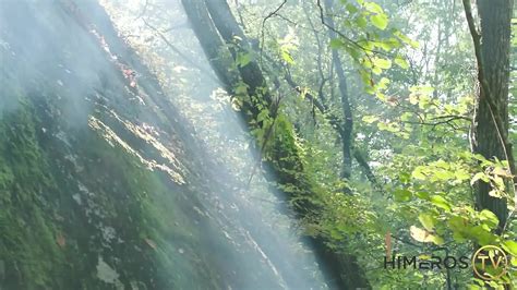 Nejnov J Gay Pornovidea A Pornofilmy Zdarma Xhamster