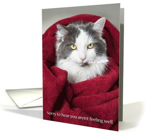 Get Well Soon Cute Cat In Blanket Card 1521660