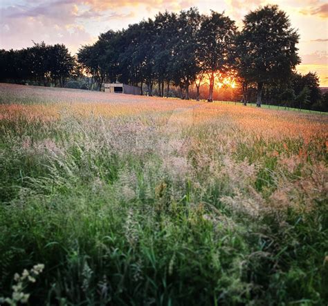 Farm land sunset by Naturesdesignss on DeviantArt