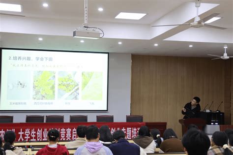 植物保护学院举办“兴农杯”大学生创新创业计划竞赛启动仪式暨创新创业专题培训 安徽农业大学新闻网