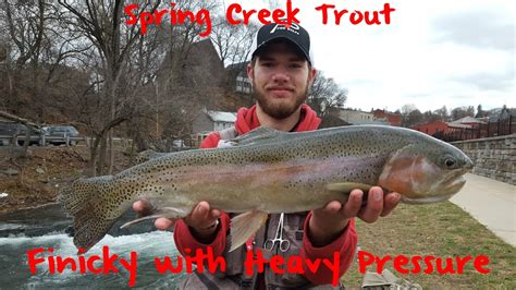 Trout Fishing Pennsylvanias Spring Creek Youtube