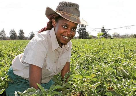 Meet The African Women Making Strides In Agriculture Weafrique Nations