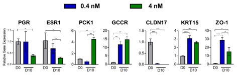 Vagina Chip SciMed Asia Pte Ltd A Member Of PHC Group