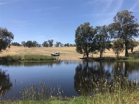 Enhancing Farm Dams For Long Term Sustainability Rivers Of Carbon