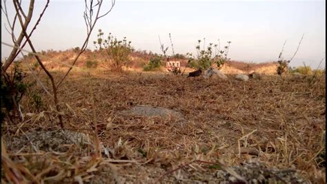 bay cu gay đầu năm YouTube