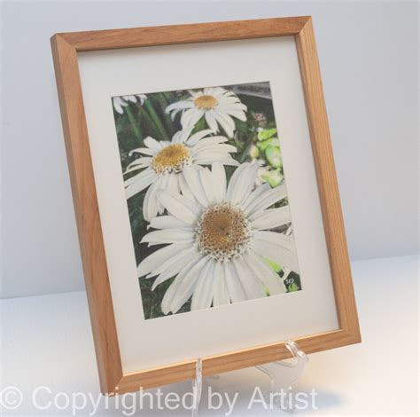 Earth Day - Angela Hospice Home Care 