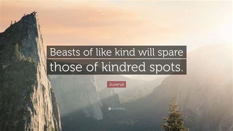 Top 200 Juvenal Quotes (2023 Update) [Page 3] - Quotefancy