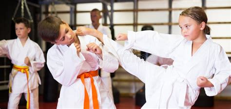 Kids on Karate Training in Gym Stock Photo - Image of moves, legs ...