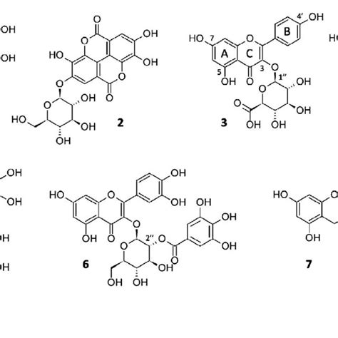 Structure of compounds 1-7 | Download Scientific Diagram