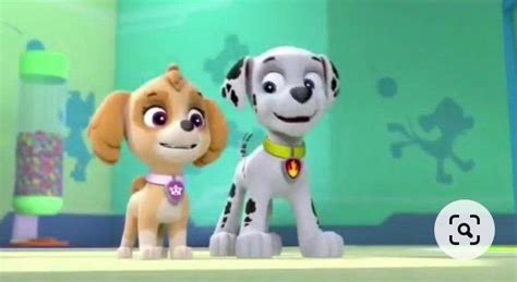 Paw Patrol Pups Chase Paw Patrol Colouring Pages Skye Nickelodeon