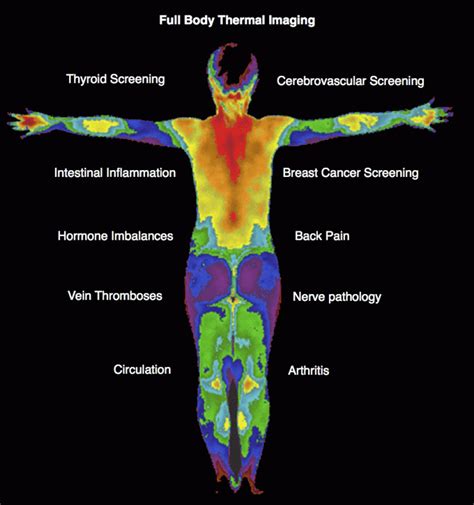 Thermography Full Body Scan | Little Rock