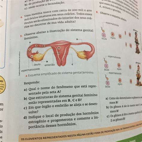 Observe Abaixo A Ilustração Do Sistema Genital Feminino A Qual Nome