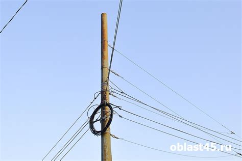 Из-за плановых работ и подрезки деревьев в Кургане местами не будет света