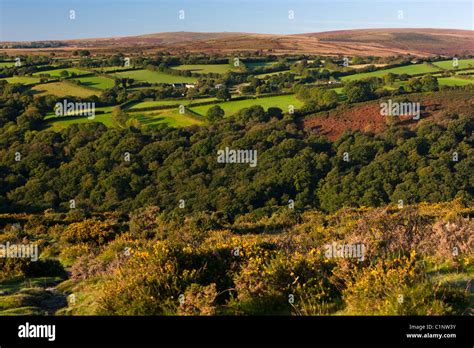 Rolling Landscape In Dartmoor National Park Stock Photo Alamy