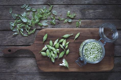 Pickled Wild Garlic Flower Buds The Seasonal Table Garlic Flower