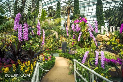 Orchid Extravaganza 2023 and Gardens by the Bay Updates | Dejiki.com