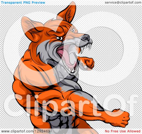 Clipart Of A Muscular Fox Man Mascot Punching From The Hips Up