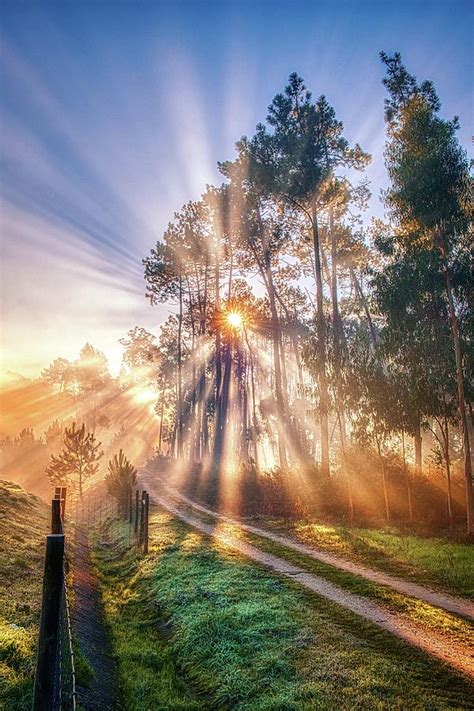 Country Road Sunrise Wallpaper