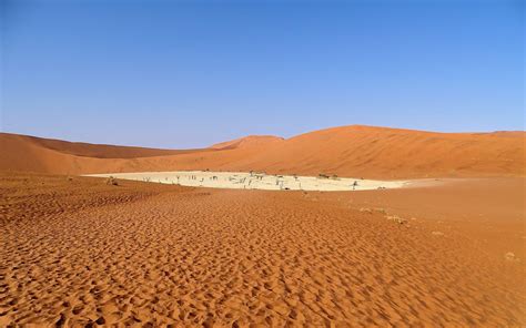 Deadvlei The Beautiful Yet Dead Forest Sorrunded By The Worlds Highest Sand Dunes