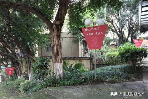 宏帆八中在重庆排名（重庆宏帆八中怎么样） 学习 布条百科