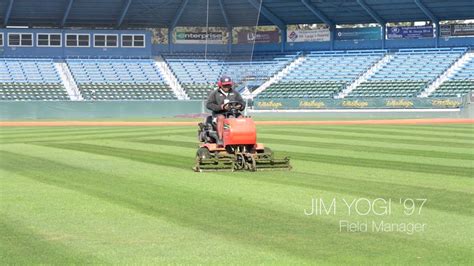 Baseball Grass Patterns