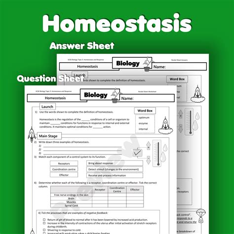 Homeostasis Home Learning Worksheet GCSE - rocketsheets.co.uk
