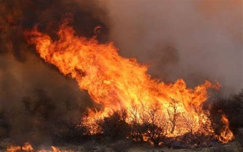 Delta Del Río Paraná El Fuego Arrasó 300 Mil Hectáreas Y Devastó A