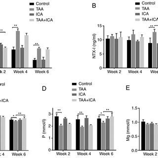 Serum Alp Ntx I Ca P And Mg Levels Of Rats In Each Group A Serum