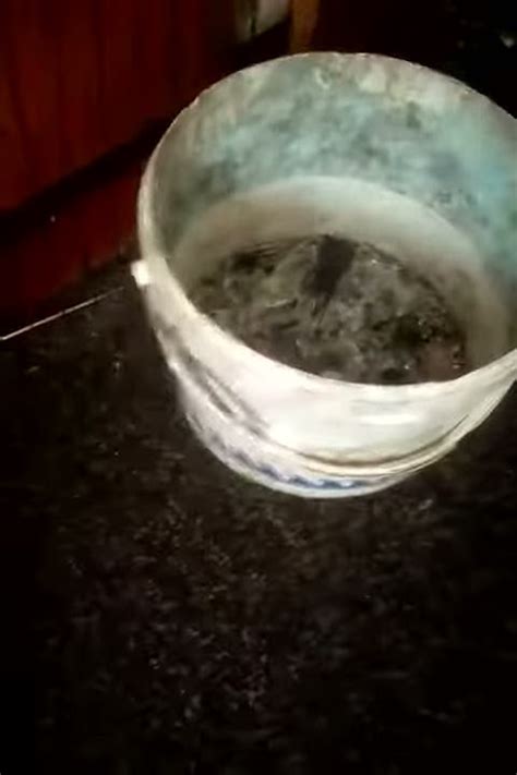 Шок!!Лопнуло стекло в духовке!!! - YouTube